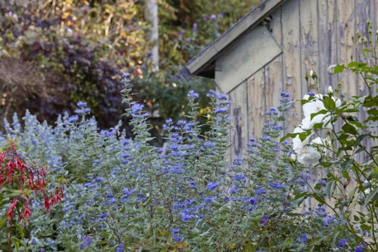 Lavender Cottage 比尔 外观 照片